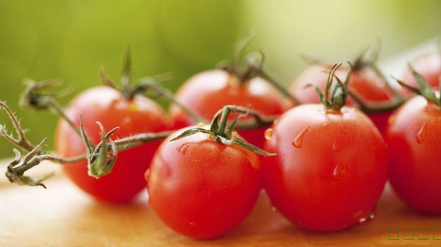 10番茄有益的益处：丰满的基本营养素